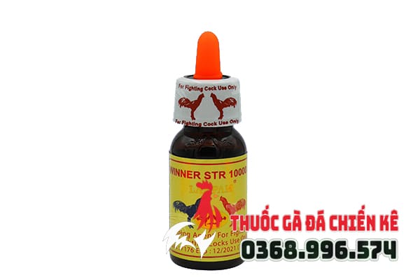 Winner STR 10000 - Thuốc nhỏ gà đá tốt nhất