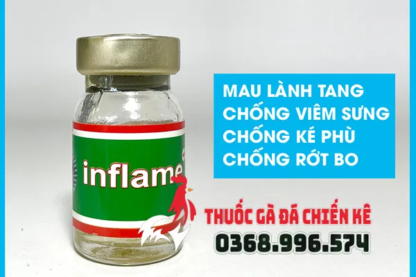 Inflame 4 in 1 - Thuốc trị tang gà đá mạnh nhất hiện nay