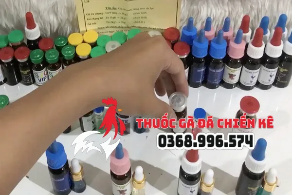 gia si thuoc ga da