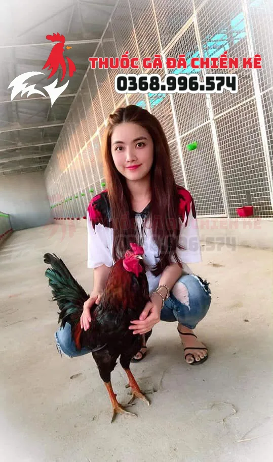 thuoc ga da gia si cho trang trai ga