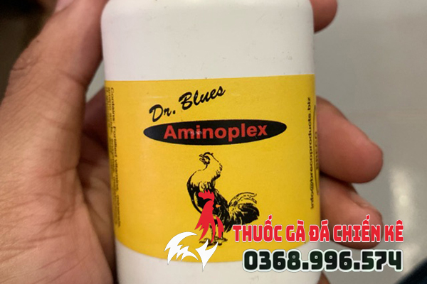 Thuốc kích thích cho gà đá, gà chọi Aminoplex