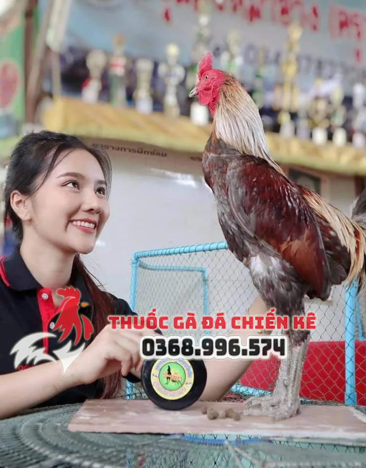 hot girl thuoc ga da hot girl thuoc ga da