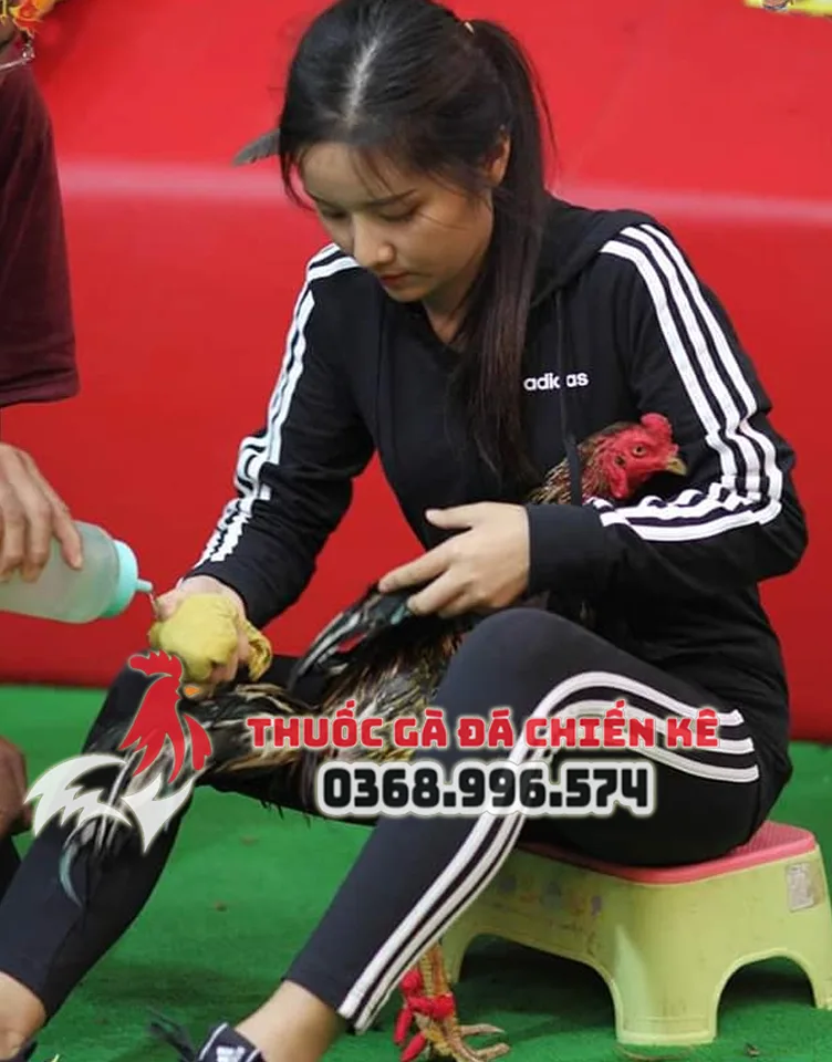 hot girl thuoc ga da12 hot girl thuoc ga da12