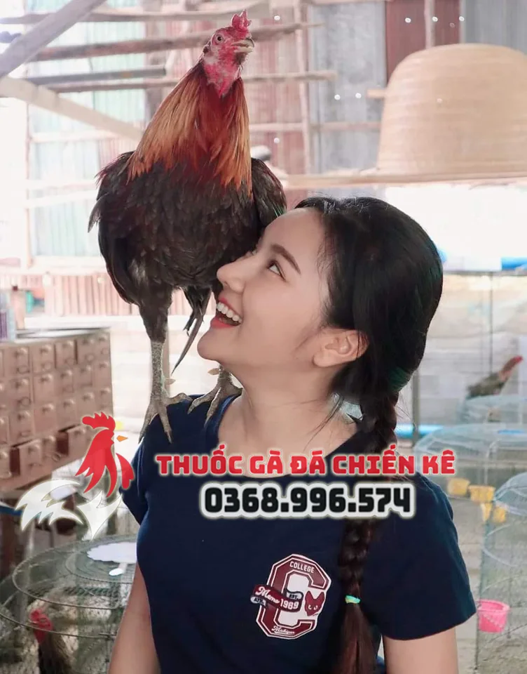 hot girl thuoc ga da2 hot girl thuoc ga da2